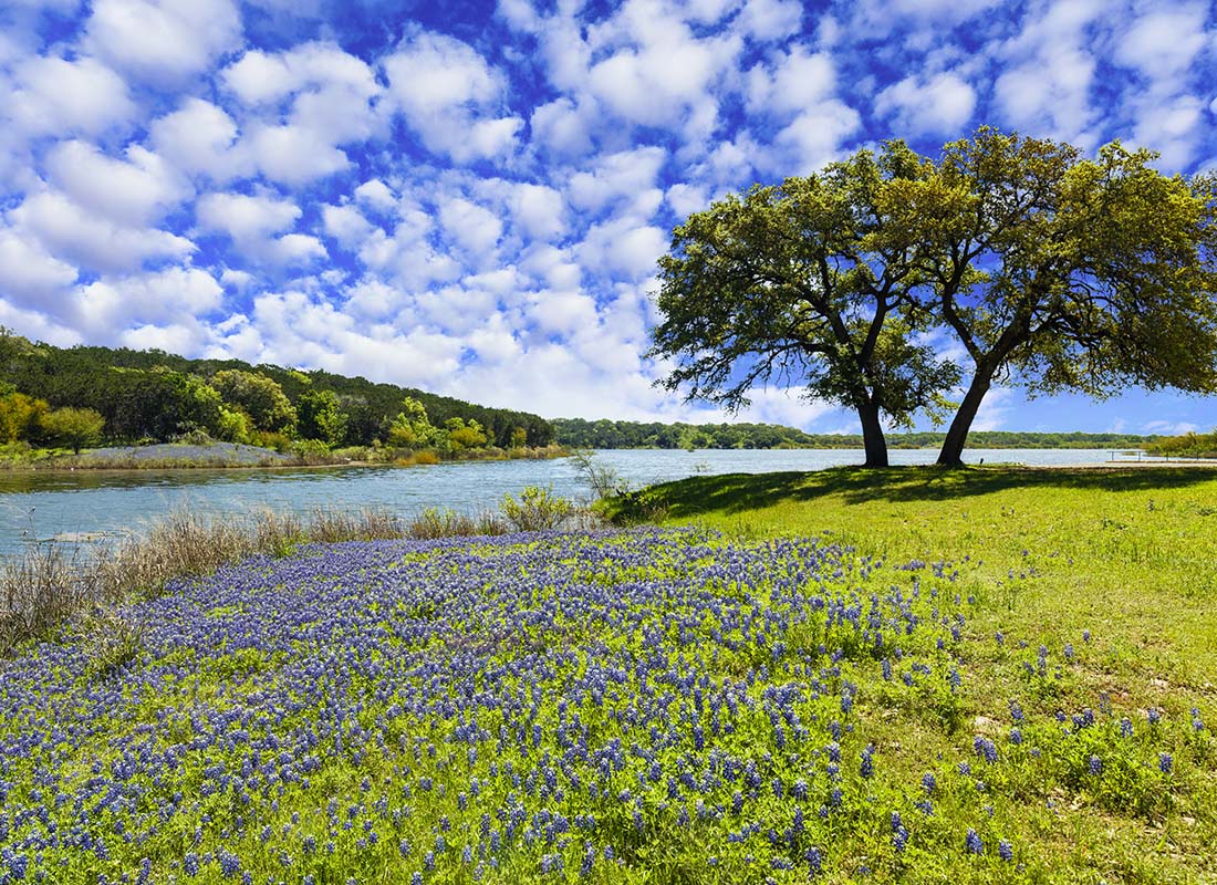 Overton, TX - Green Grass and Tree by the River on a Sunny Day in Overton Texas