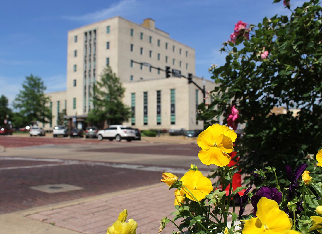 Tyler, TX - Closeup View of Flowers by the Street with a Courthouse Building in the Background in Tyler Texas